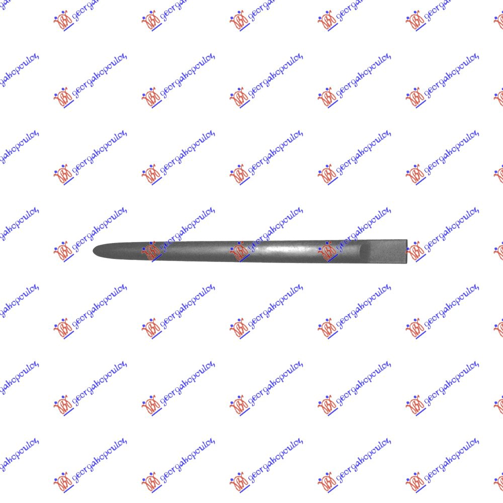 REAR DOOR SIDE MOULDING