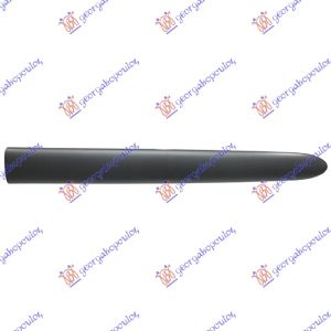 FRONT DOOR MOULDING