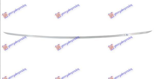 REAR BUMPER MOULDING CENTER CHROME