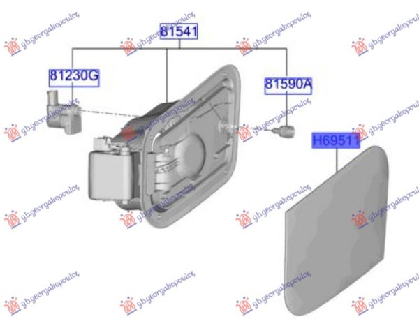 FUEL TANK DOOR (O)