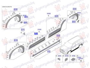 FRONT DOOR MOULDING (O)