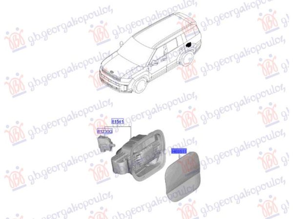 FUEL TANK DOOR (O)