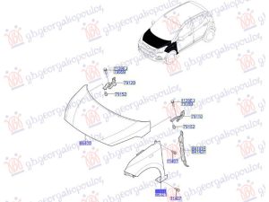 FRONT FENDER (W/O SIDE LAMP HOLE) (O)