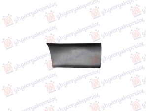 FRONT DOOR SIDE MOULDING
